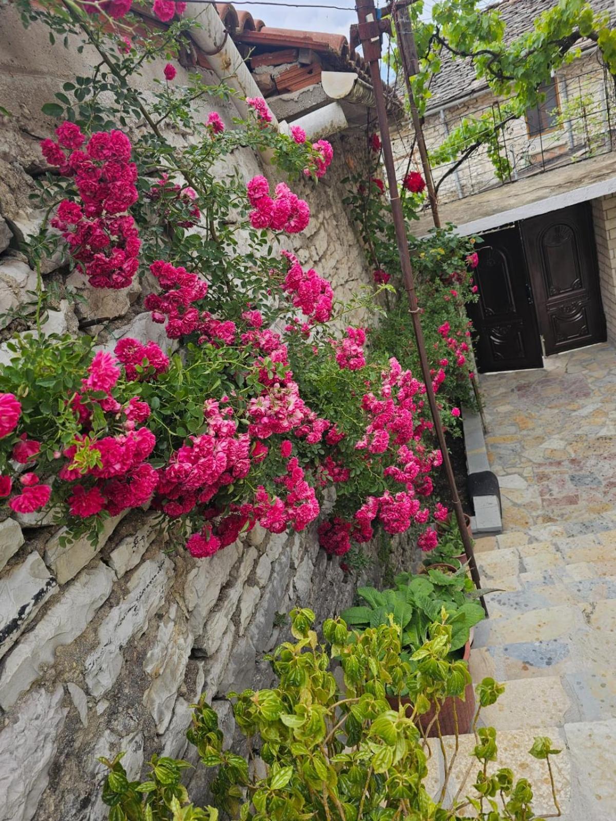 Luigi Guest House Αργυρόκαστρο Εξωτερικό φωτογραφία