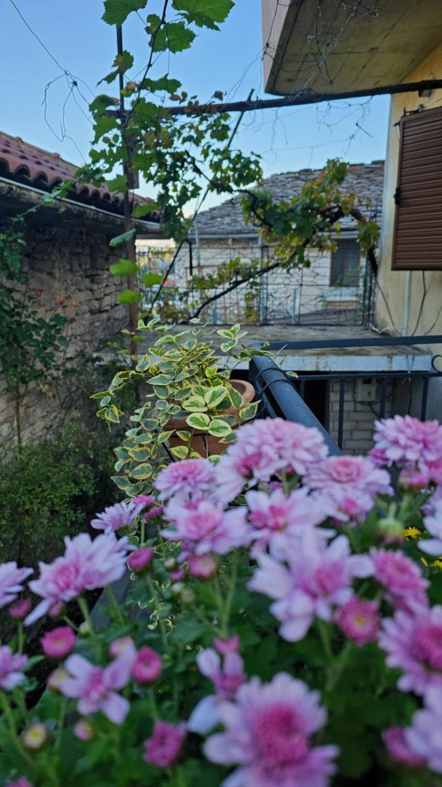 Luigi Guest House Αργυρόκαστρο Εξωτερικό φωτογραφία